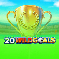 20 Wild Goals screenshot